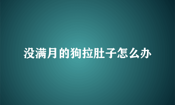没满月的狗拉肚子怎么办