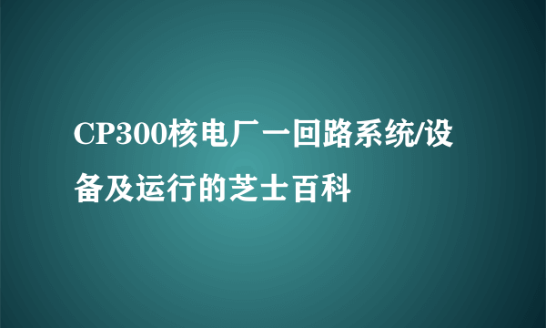 CP300核电厂一回路系统/设备及运行的芝士百科