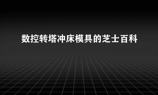 数控转塔冲床模具的芝士百科