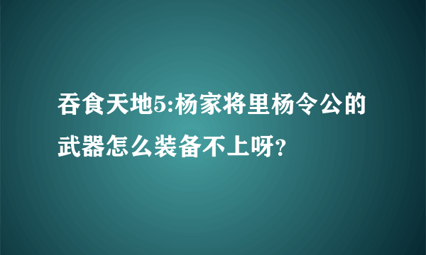 吞食天地5:杨家将里杨令公的武器怎么装备不上呀？