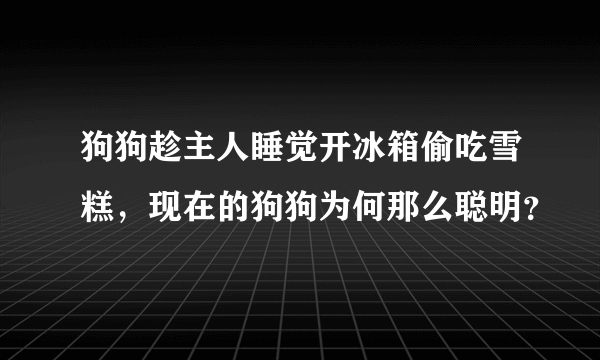 狗狗趁主人睡觉开冰箱偷吃雪糕，现在的狗狗为何那么聪明？