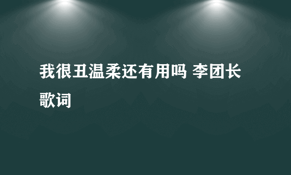 我很丑温柔还有用吗 李团长 歌词