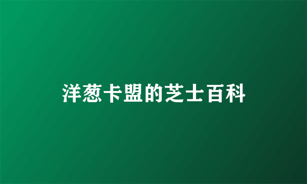 洋葱卡盟的芝士百科
