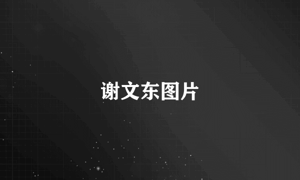 谢文东图片