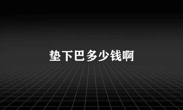 垫下巴多少钱啊