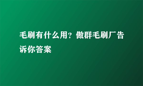 毛刷有什么用？傲群毛刷厂告诉你答案