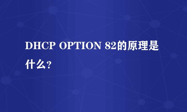 DHCP OPTION 82的原理是什么？