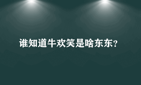 谁知道牛欢笑是啥东东？