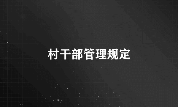 村干部管理规定