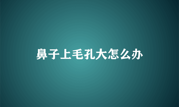 鼻子上毛孔大怎么办