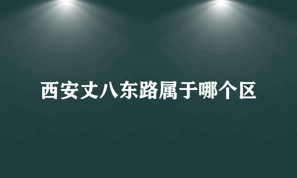 西安丈八东路属于哪个区
