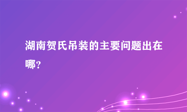 湖南贺氏吊装的主要问题出在哪？