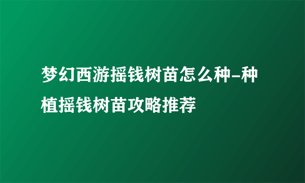 梦幻西游摇钱树苗怎么种-种植摇钱树苗攻略推荐