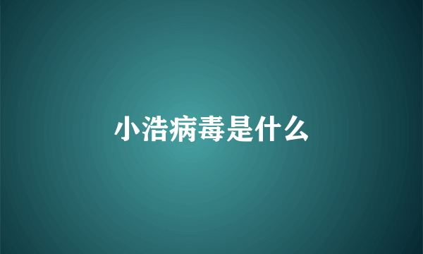 小浩病毒是什么