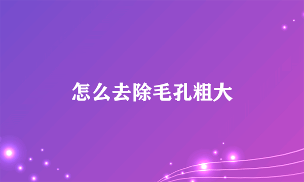 怎么去除毛孔粗大