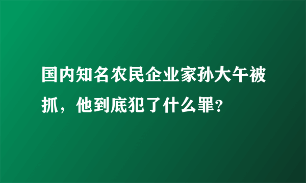 国内知名农民企业家孙大午被抓，他到底犯了什么罪？