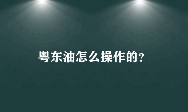 粤东油怎么操作的？