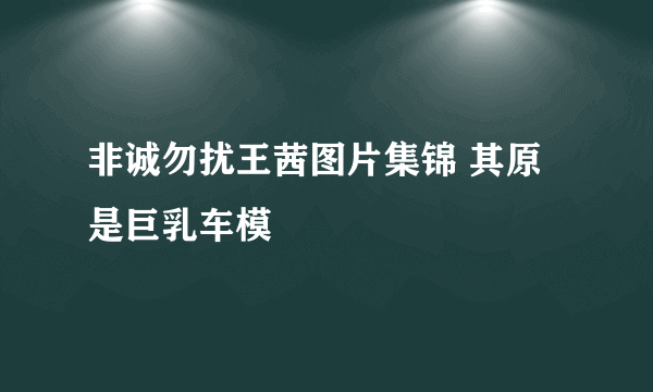 非诚勿扰王茜图片集锦 其原是巨乳车模
