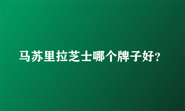 马苏里拉芝士哪个牌子好？