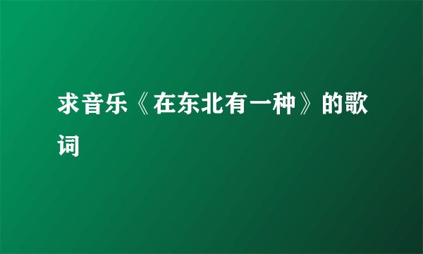 求音乐《在东北有一种》的歌词