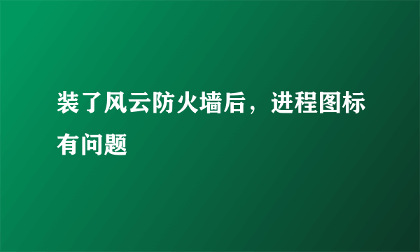装了风云防火墙后，进程图标有问题