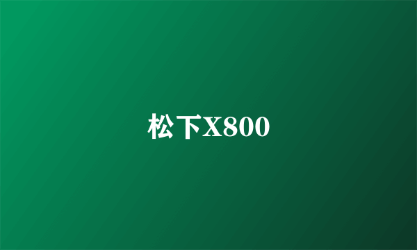松下X800