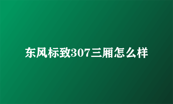 东风标致307三厢怎么样