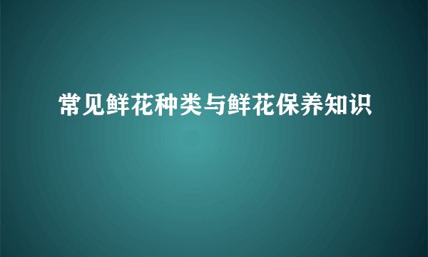 常见鲜花种类与鲜花保养知识