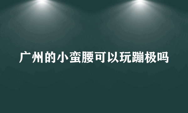 广州的小蛮腰可以玩蹦极吗