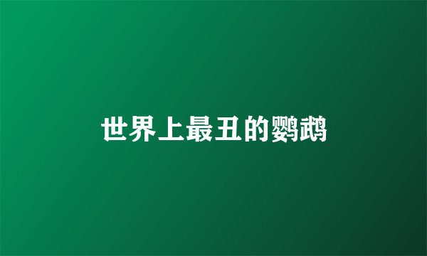 世界上最丑的鹦鹉