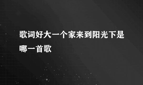 歌词好大一个家来到阳光下是哪一首歌