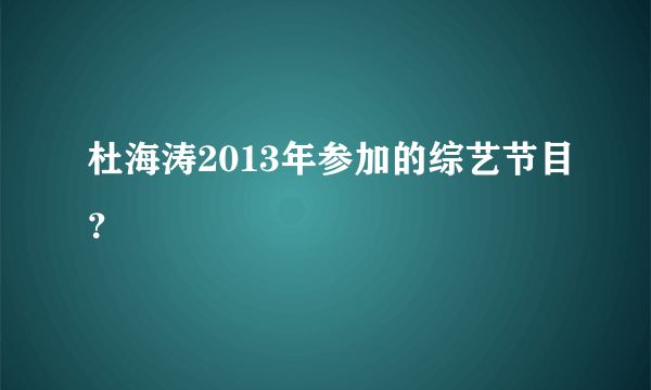 杜海涛2013年参加的综艺节目？