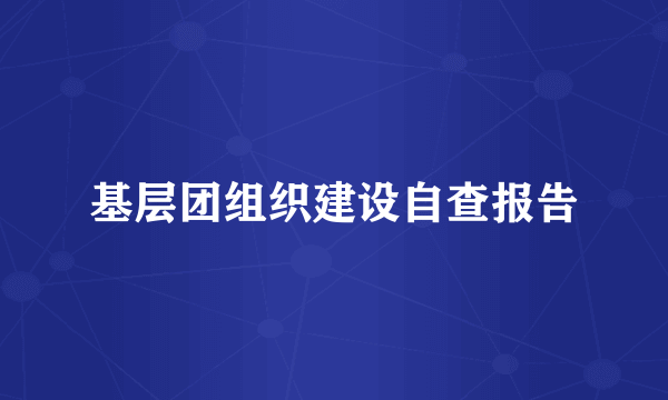 基层团组织建设自查报告