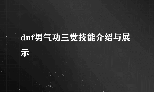 dnf男气功三觉技能介绍与展示