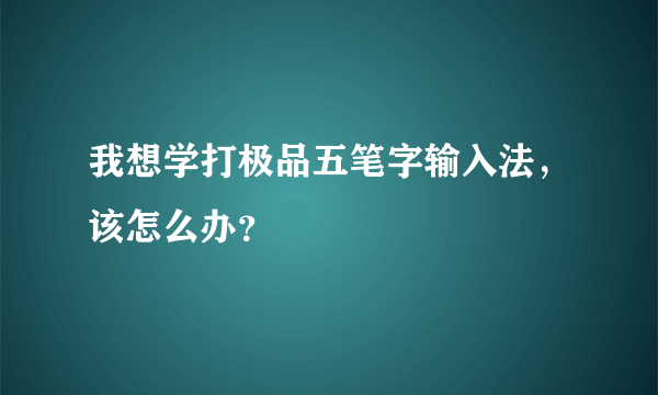我想学打极品五笔字输入法，该怎么办？