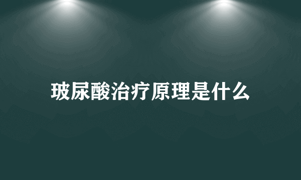 玻尿酸治疗原理是什么
