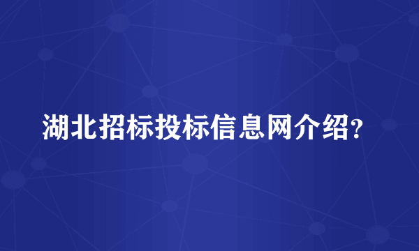 湖北招标投标信息网介绍？