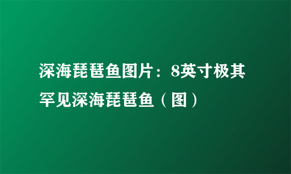 深海琵琶鱼图片：8英寸极其罕见深海琵琶鱼（图）