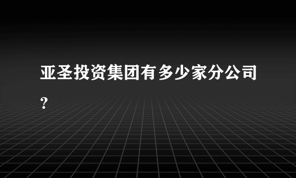 亚圣投资集团有多少家分公司？