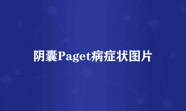 阴囊Paget病症状图片