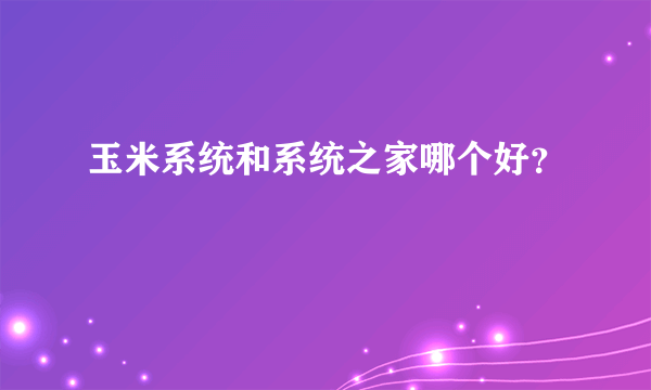 玉米系统和系统之家哪个好？