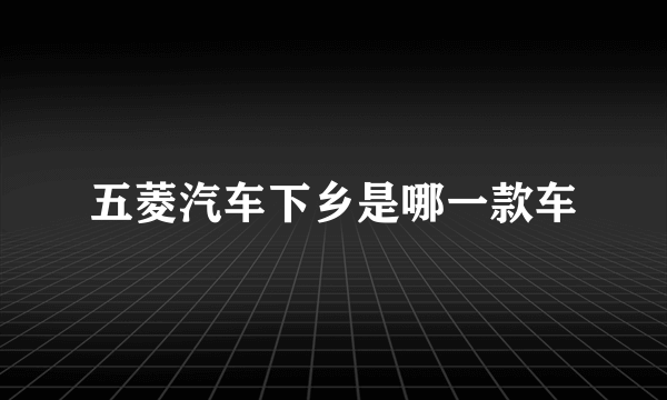 五菱汽车下乡是哪一款车