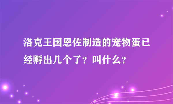 洛克王国恩佐制造的宠物蛋已经孵出几个了？叫什么？