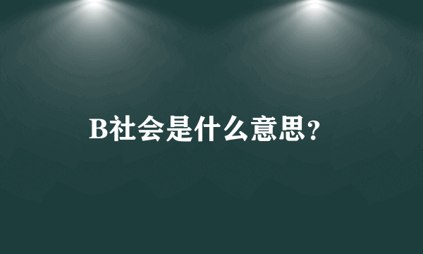 B社会是什么意思？