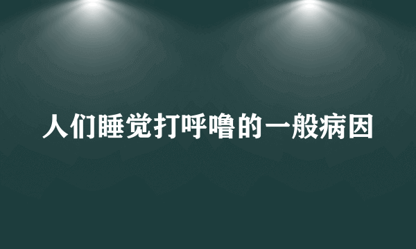 人们睡觉打呼噜的一般病因