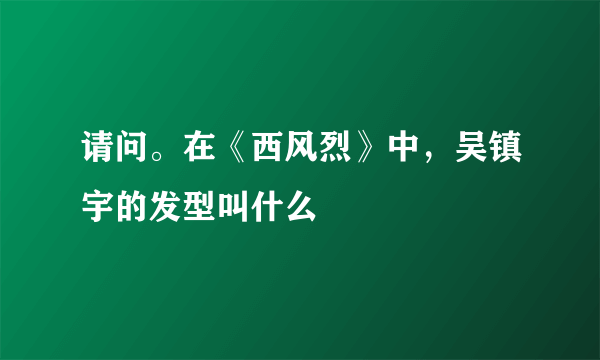 请问。在《西风烈》中，吴镇宇的发型叫什么