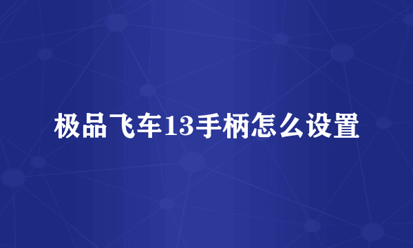 极品飞车13手柄怎么设置