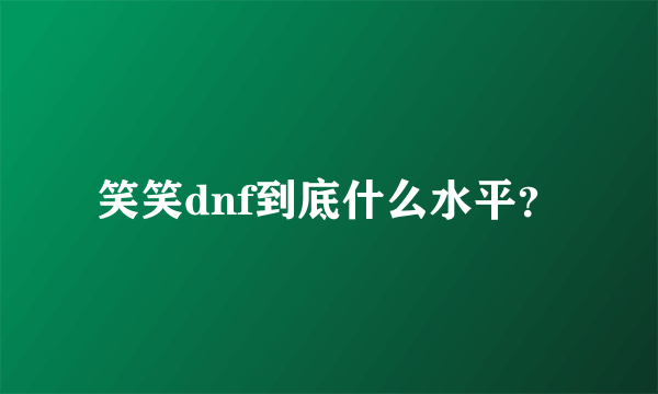 笑笑dnf到底什么水平？