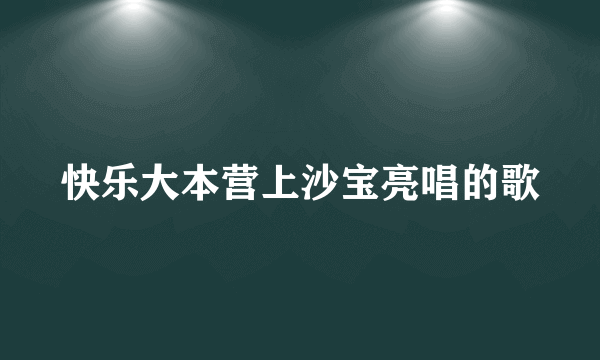 快乐大本营上沙宝亮唱的歌