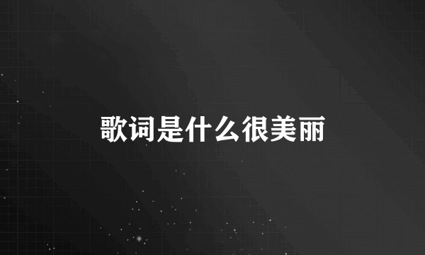 歌词是什么很美丽